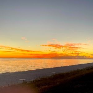 Meet your Posher, Paige